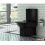 Унитаз-компакт Creavit Lara LR360-00SI00E-0000/LR410-00SI00E-0000 с биде 63.8х37
