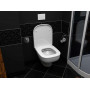 Унитаз подвесной Creavit Sphinx SP320-00CB00E-0000/KC1803.01.0000E с функцией биде 54.5х34