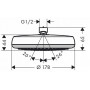 Верхний душ Hansgrohe Crometta 100 26577400
